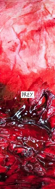 Prey Griptape Flesh pro freestyle koloběžky